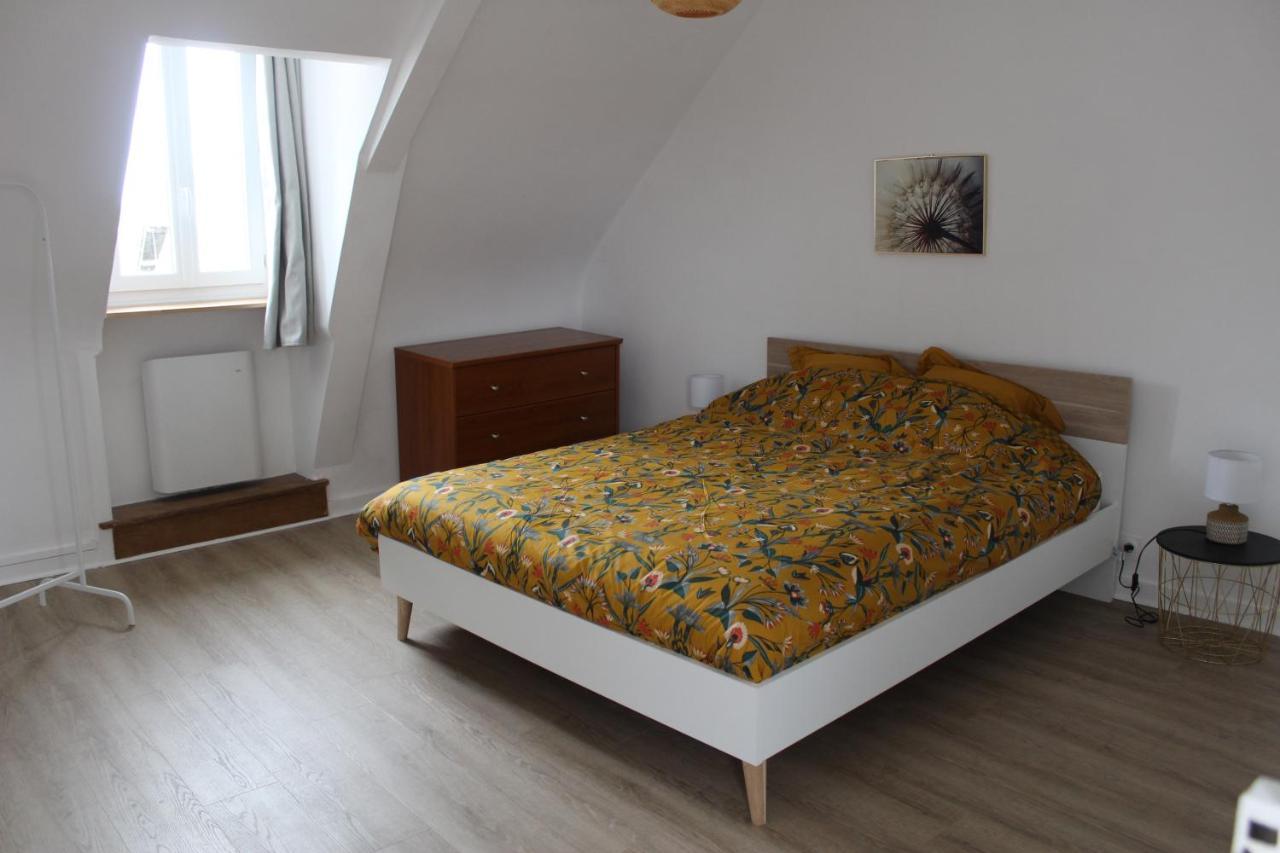 Appartement Pratique Et Cosy Lanvallay Eksteriør billede